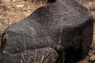 Three Rivers Petroglyph, NM
