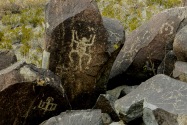 Three Rivers Petroglyph, NM