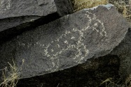 Three Rivers Petroglyph, NM