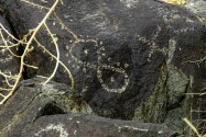 Three Rivers Petroglyph, NM