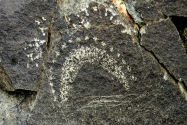 Three Rivers Petroglyph, NM
