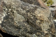 Three Rivers Petroglyph, NM