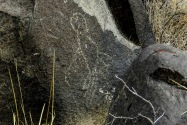 Three Rivers Petroglyph, NM