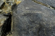 Three Rivers Petroglyph, NM