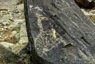 Three Rivers Petroglyph, NM