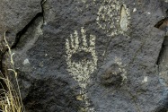Three Rivers Petroglyph, NM