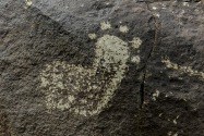 Three Rivers Petroglyph, NM