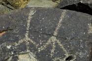 Three Rivers Petroglyph, NM