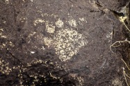 Three Rivers Petroglyph, NM