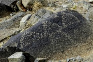 Three Rivers Petroglyph, NM