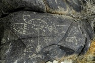 Three Rivers Petroglyph, NM