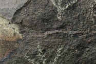 Three Rivers Petroglyph, NM