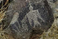 Three Rivers Petroglyph, NM
