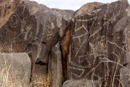 Three Rivers Petroglyph, NM