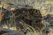 Three Rivers Petroglyph, NM