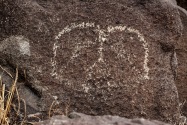Three Rivers Petroglyph, NM