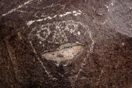 Three Rivers Petroglyph, NM