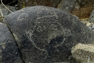 Three Rivers Petroglyph, NM