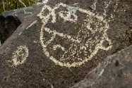 Three Rivers Petroglyph, NM