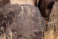 Three Rivers Petroglyph, NM