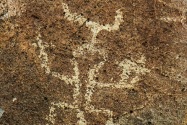 Three Rivers Petroglyph, NM