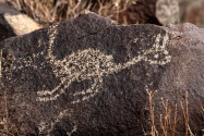 Three Rivers Petroglyph, NM