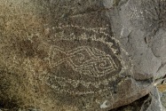 Three Rivers Petroglyph, NM