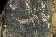 Three Rivers Petroglyph, NM