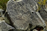 Three Rivers Petroglyph, NM