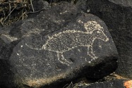 Three Rivers Petroglyph, NM