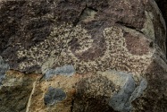 Three Rivers Petroglyph, NM