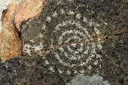 Three Rivers Petroglyph, NM