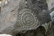 Three Rivers Petroglyph, NM