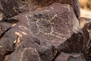 Three Rivers Petroglyph, NM