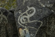 Three Rivers Petroglyph, NM