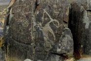 Three Rivers Petroglyph, NM