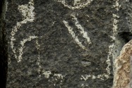 Three Rivers Petroglyph, NM