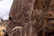 Three Rivers Petroglyph, NM