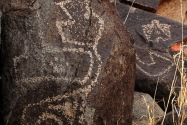 Three Rivers Petroglyph, NM