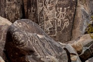 Three Rivers Petroglyph, NM