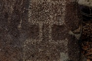 Three Rivers Petroglyph, NM