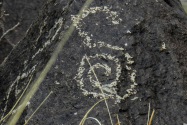 Three Rivers Petroglyph, NM