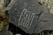 Three Rivers Petroglyph, NM