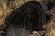 Three Rivers Petroglyph, NM