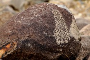 Three Rivers Petroglyph, NM