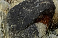 Three Rivers Petroglyph, NM