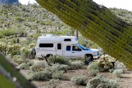 OrganPipeCactusNM-AZ