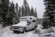 ShastaTrinityNF-CA-1