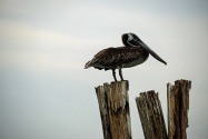 San Bernardo Isles