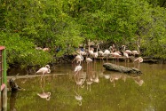 San Bernardo Isles
